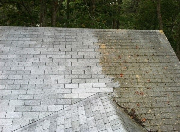 before and after roof cleaning before and after roof cleaning